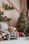 Christmas home KONSTANTIN MALKOV LP007.jpg