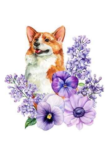 corgi kwiaty ilustracja